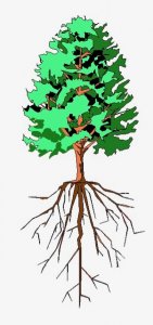 TapRooT®  Root Cause Tree®