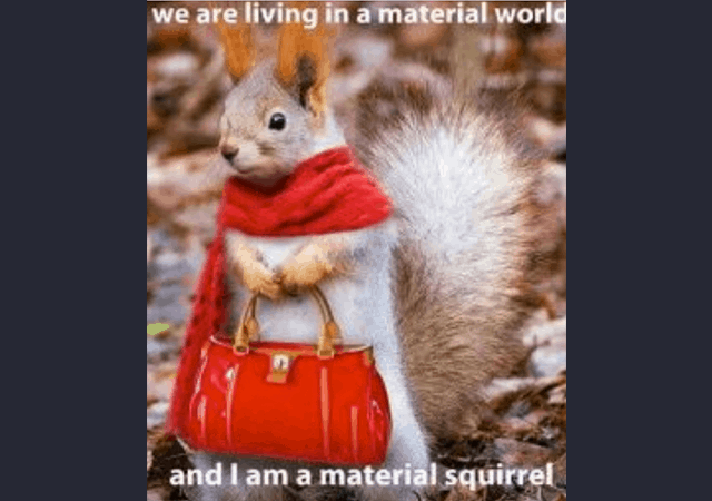 friday squirrel funny - TapRooT® Root Cause Analysis